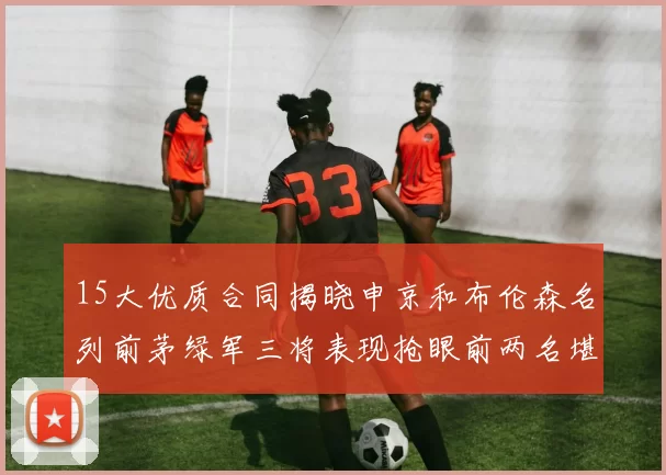 15大优质合同揭晓申京和布伦森名列前茅绿军三将表现抢眼前两名堪称传奇